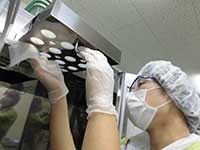 中央材料室の乾燥機洗浄